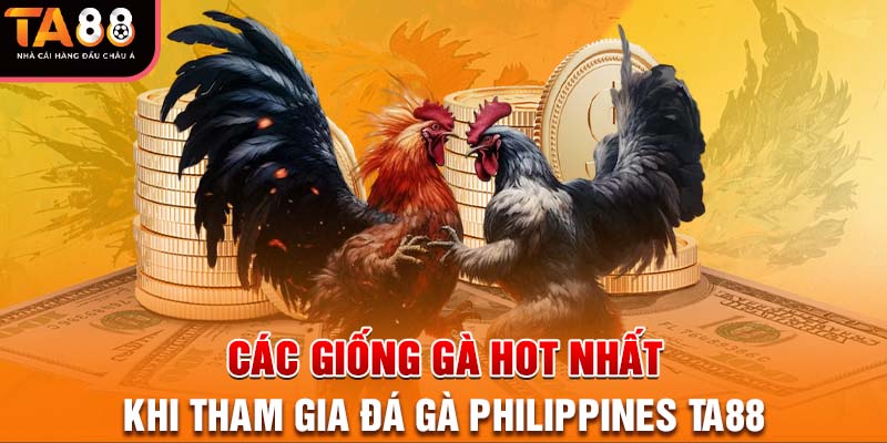 Các giống gà hot nhất khi tham gia đá gà Philippines Ta88